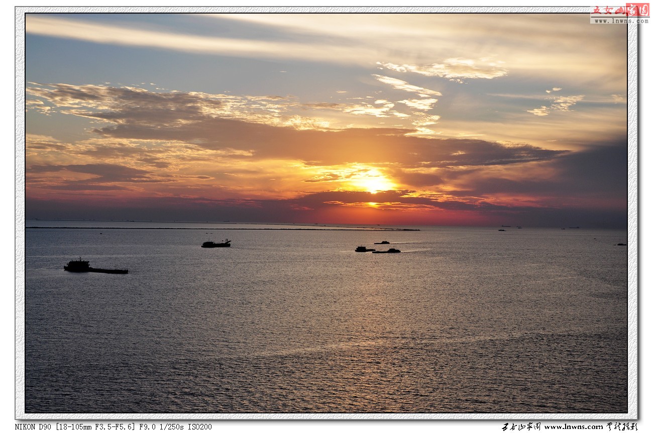 DSC_2807.jpg