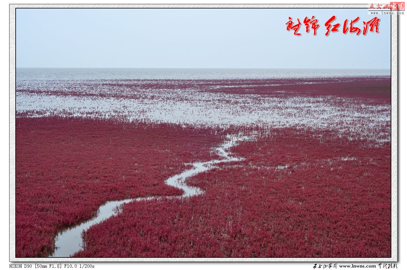 DSC_4801_conew1.jpg