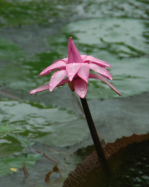 DSC_0031.jpg