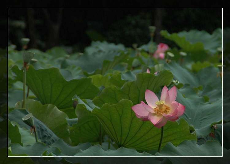DSC_0059.jpg