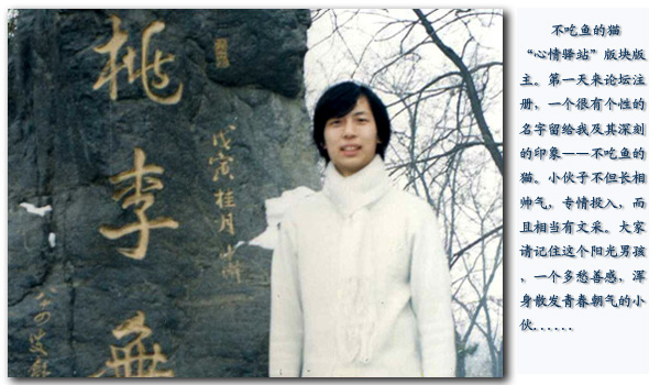 不吃鱼的猫a.jpg