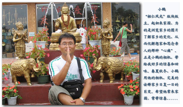 小鹤a.jpg