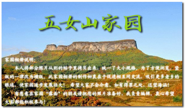 相册说明.jpg