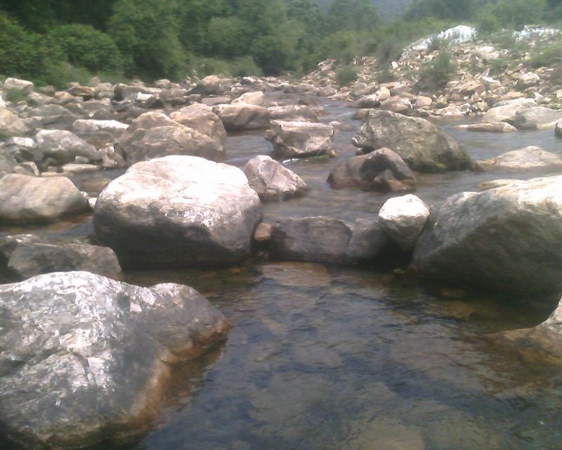 IMG0227A.jpg