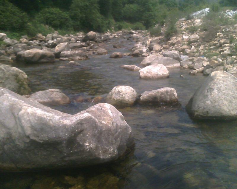 IMG0228A.jpg