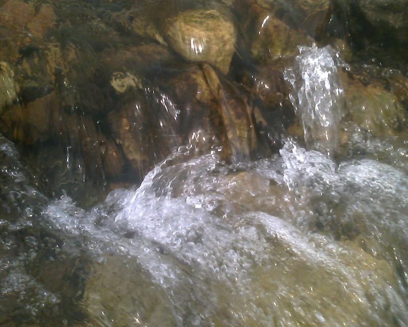 IMG0226A.jpg