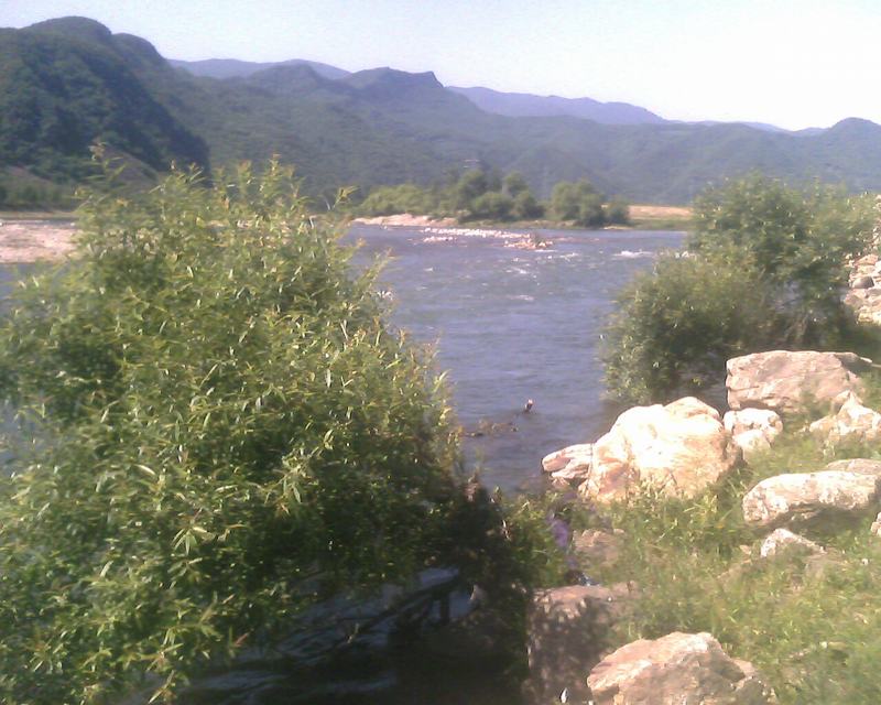 IMG0238A.jpg
