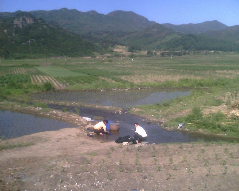 IMG0233A.jpg