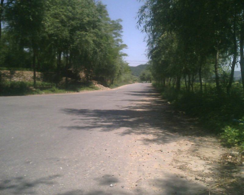 IMG0244A.jpg