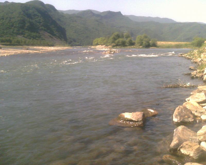 IMG0239A.jpg