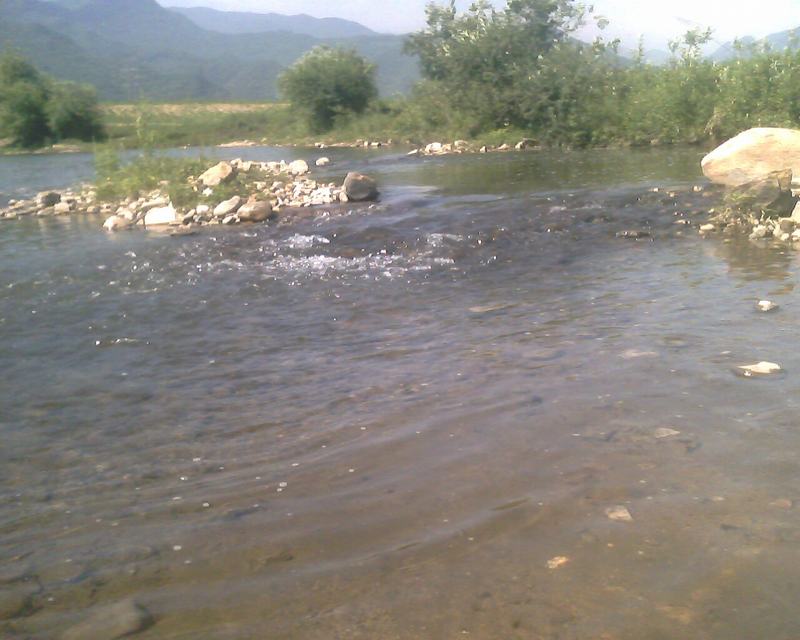 IMG0246A.jpg