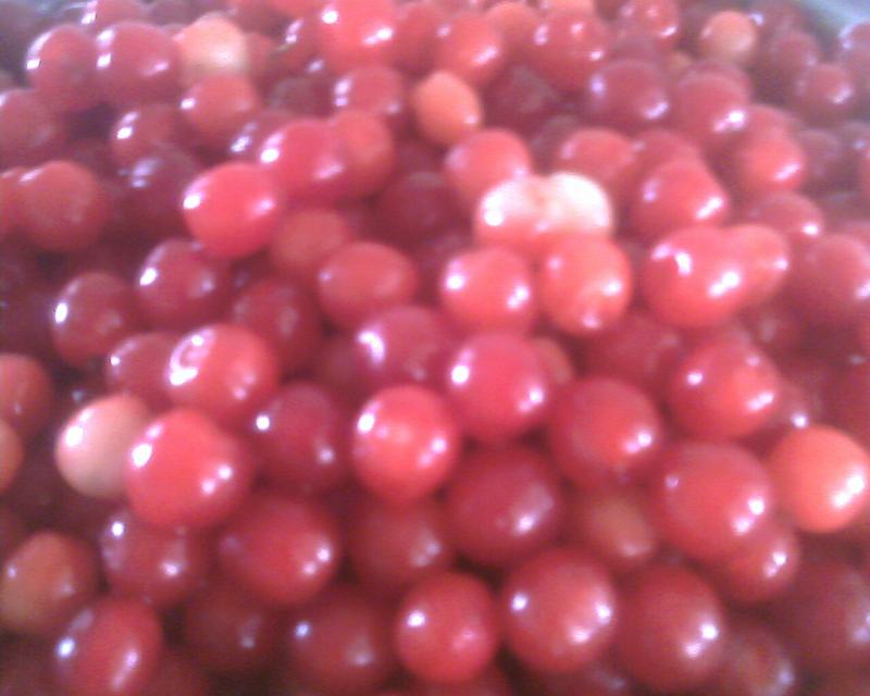IMG0254A.jpg