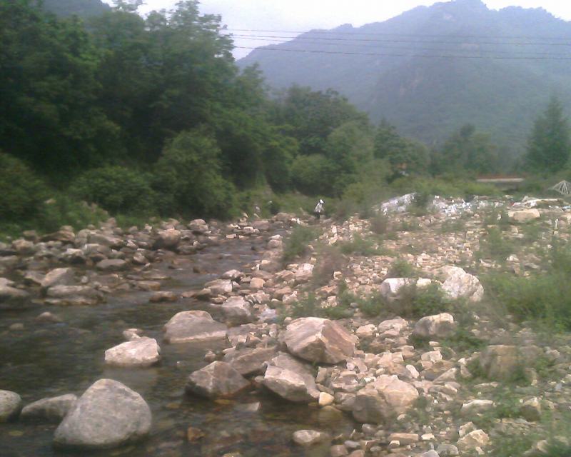 IMG0230A.jpg