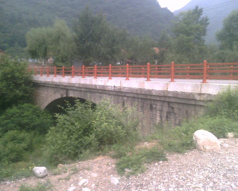 IMG0231A.jpg