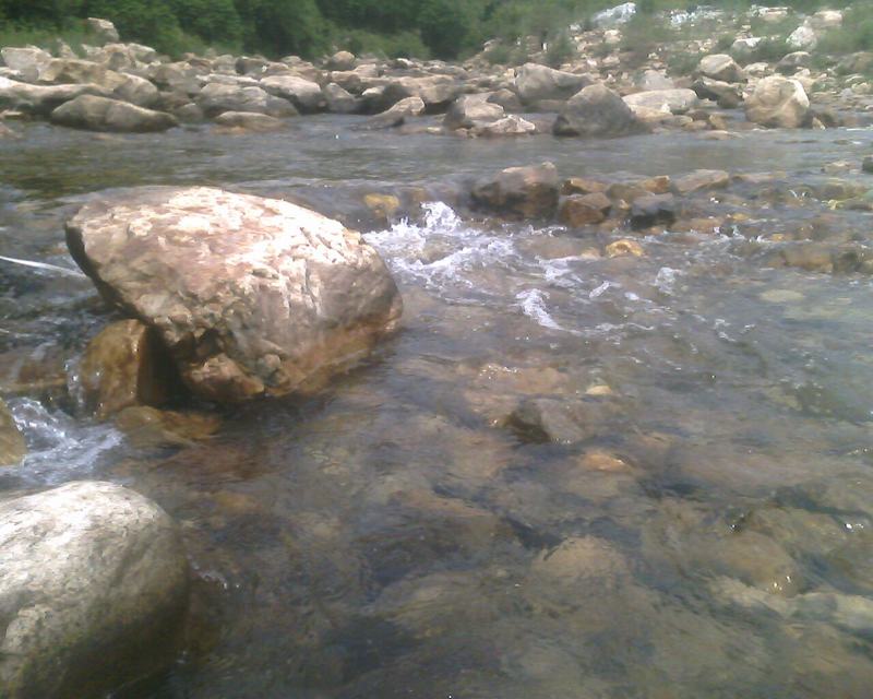 IMG0225A.jpg