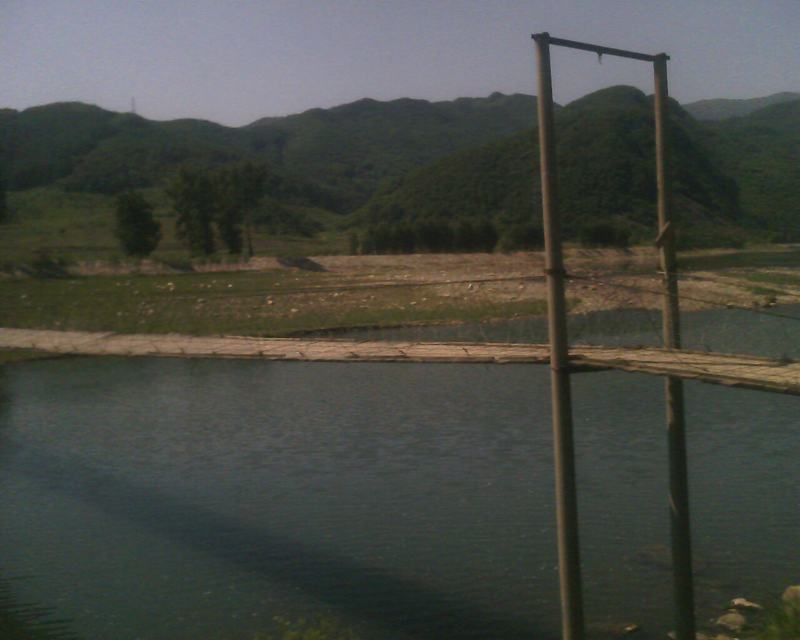 IMG0242A.jpg