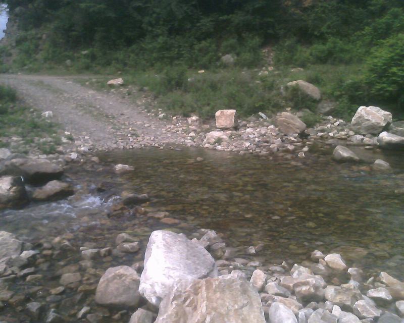 IMG0229A.jpg