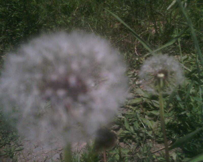 IMG0240A.jpg