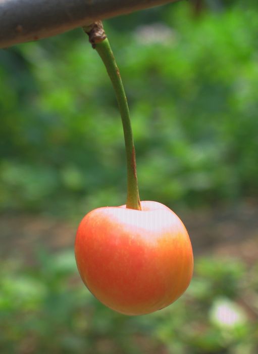 A 009.jpg