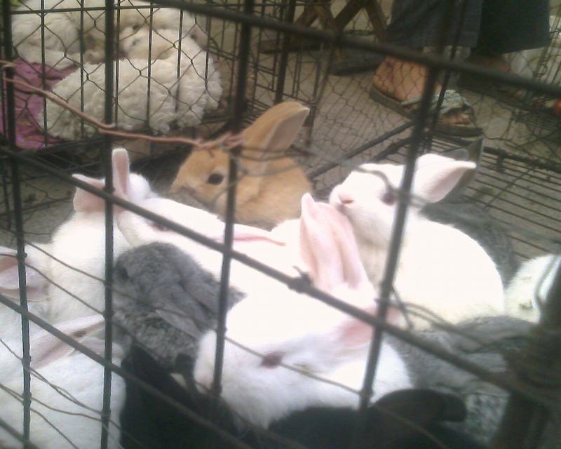 IMG0257A.jpg