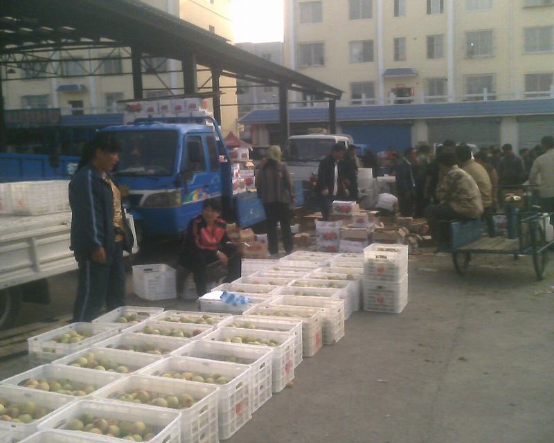 IMG0264A.jpg