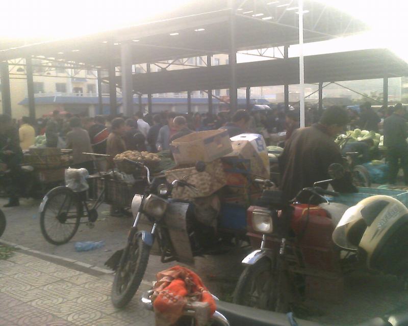 IMG0266A.jpg