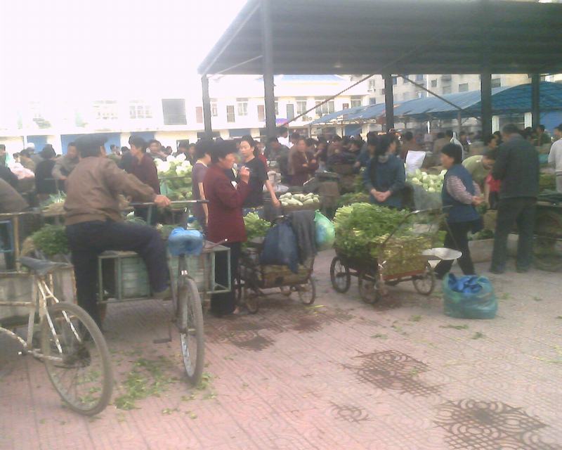 IMG0265A.jpg