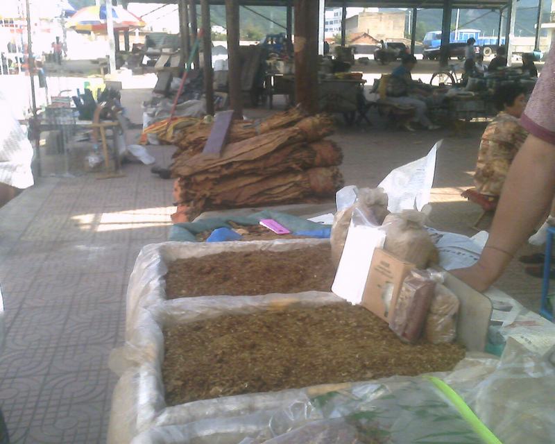 IMG0287A.jpg