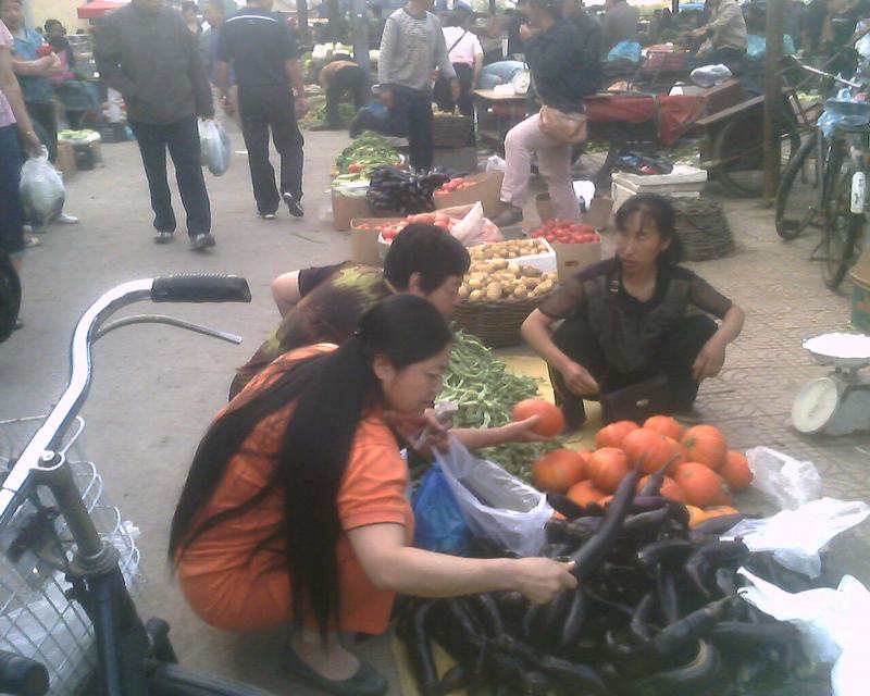 IMG0258A.jpg