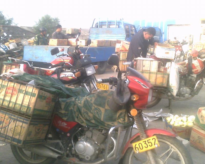 IMG0263A.jpg