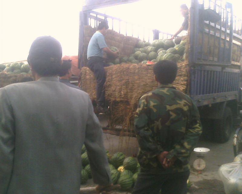 IMG0262A.jpg