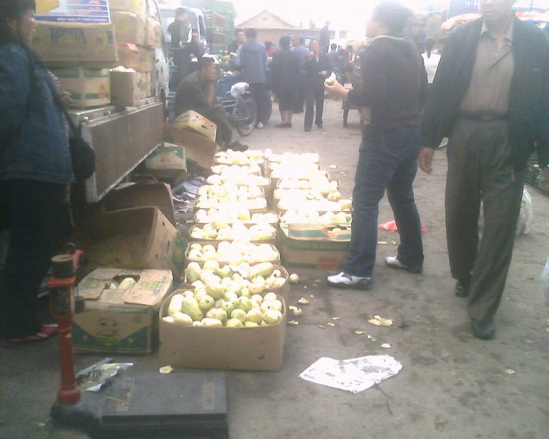 IMG0260A.jpg