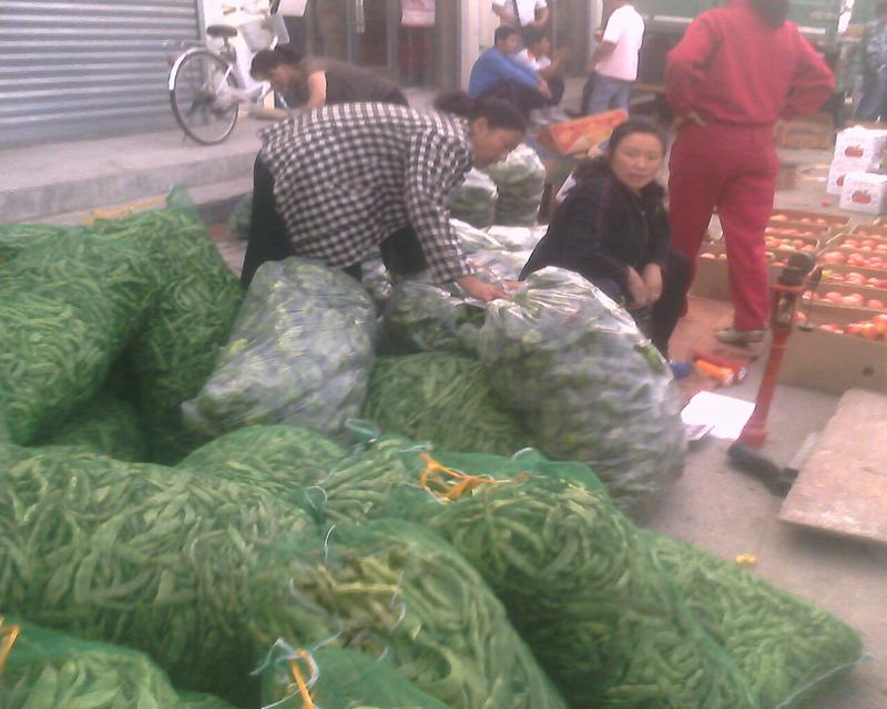 IMG0261A.jpg