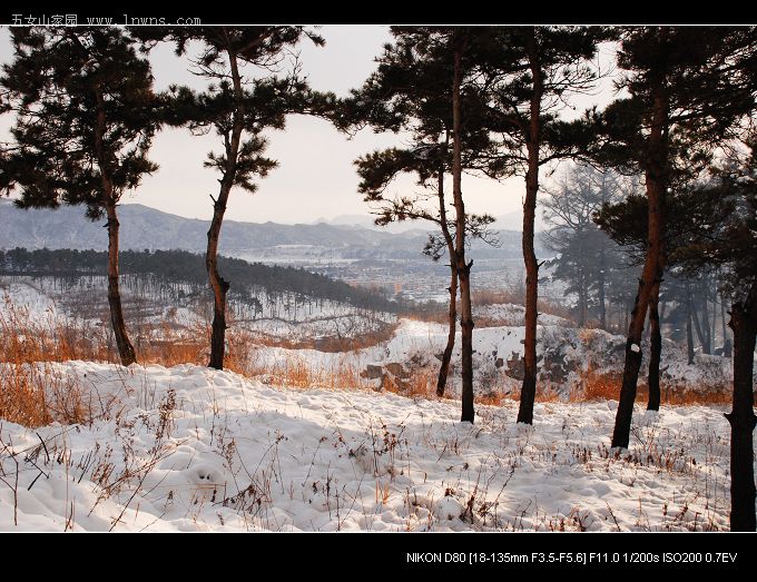 DSC_2034.JPG
