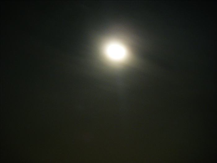 DSCF7592.jpg