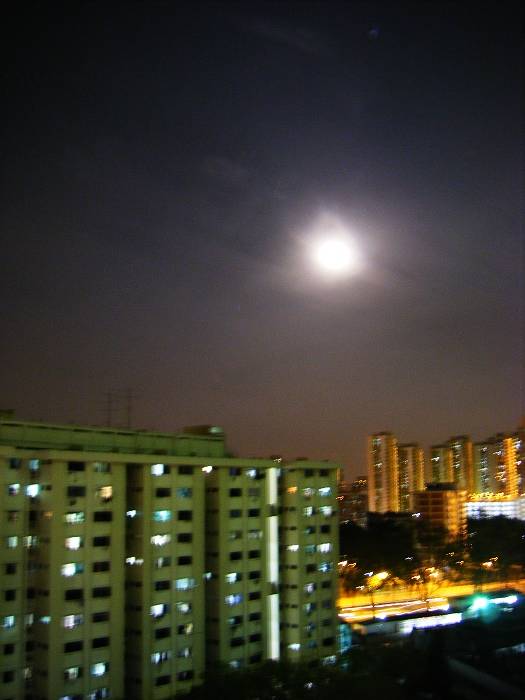 DSCF7593.jpg