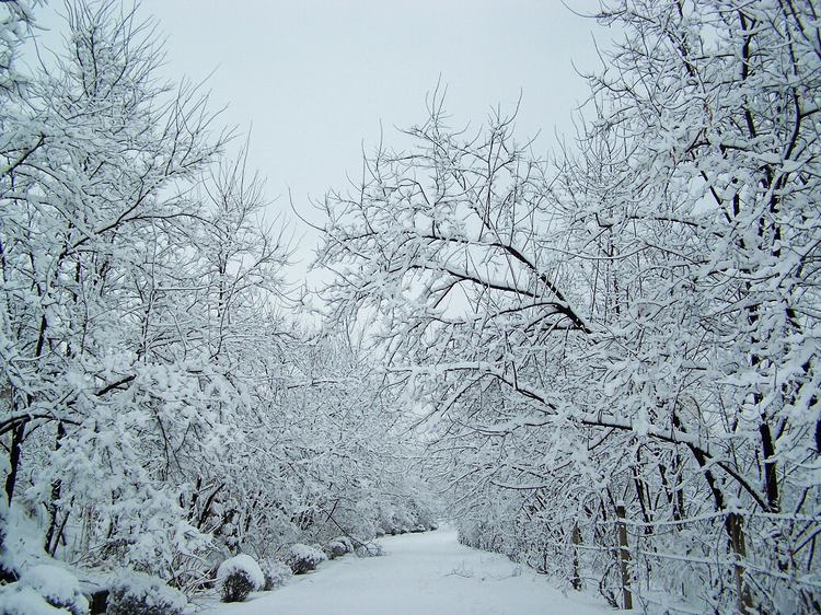 100_5280.jpg
