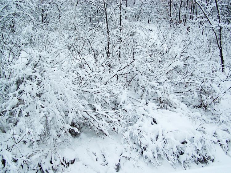 100_5297.jpg