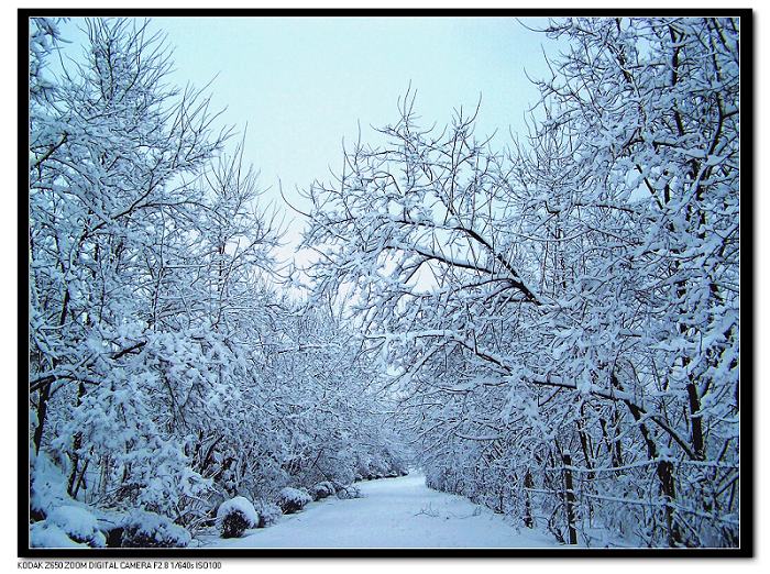 20090214_74b679c526f4125a79cefNcXQynTFjQK.jpg