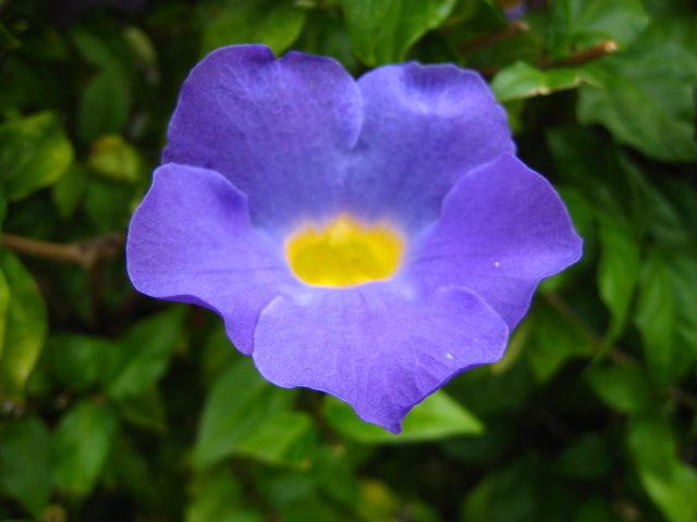 IMG_6066.JPG