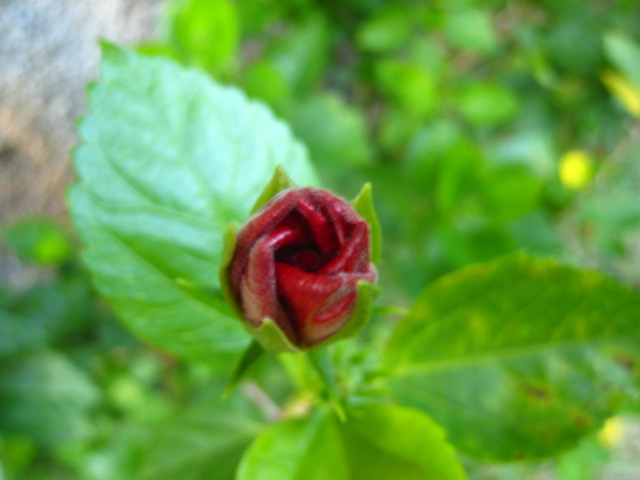 IMG_6028.JPG