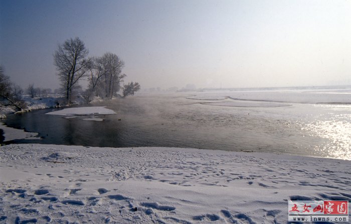 img830.jpg