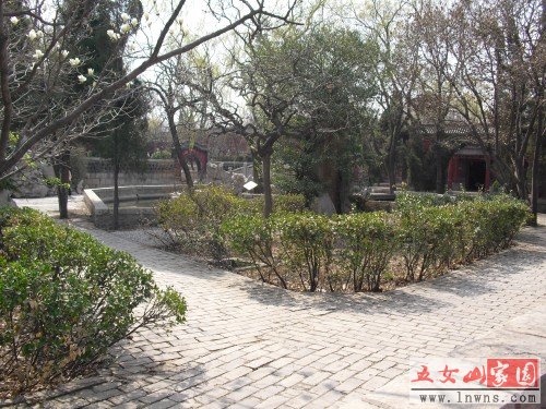 CIMG0611_conew1.JPG