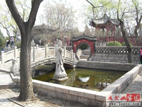 CIMG0614_conew1.JPG