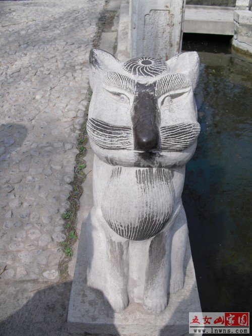 CIMG0622_conew1.JPG