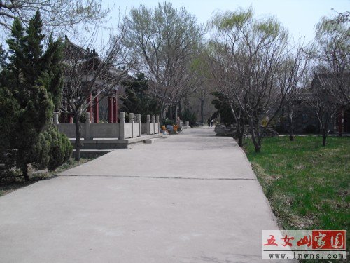 CIMG0688_conew1.JPG