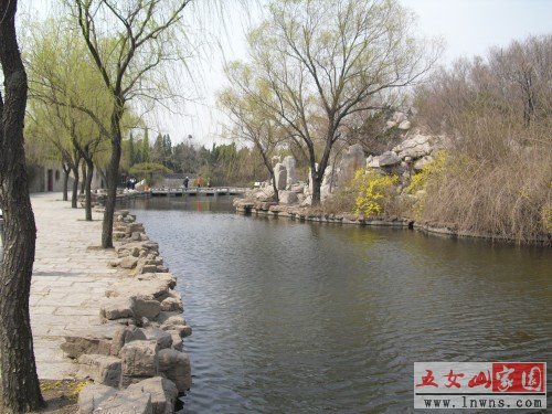 CIMG0707_conew1.JPG