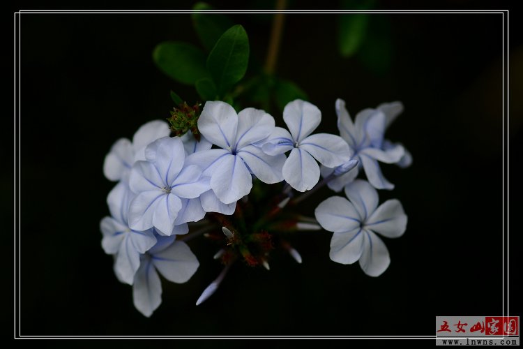 DSC_0023.jpg