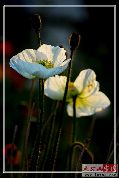 DSC_0280.jpg