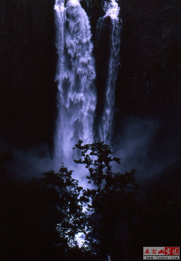 img851.jpg